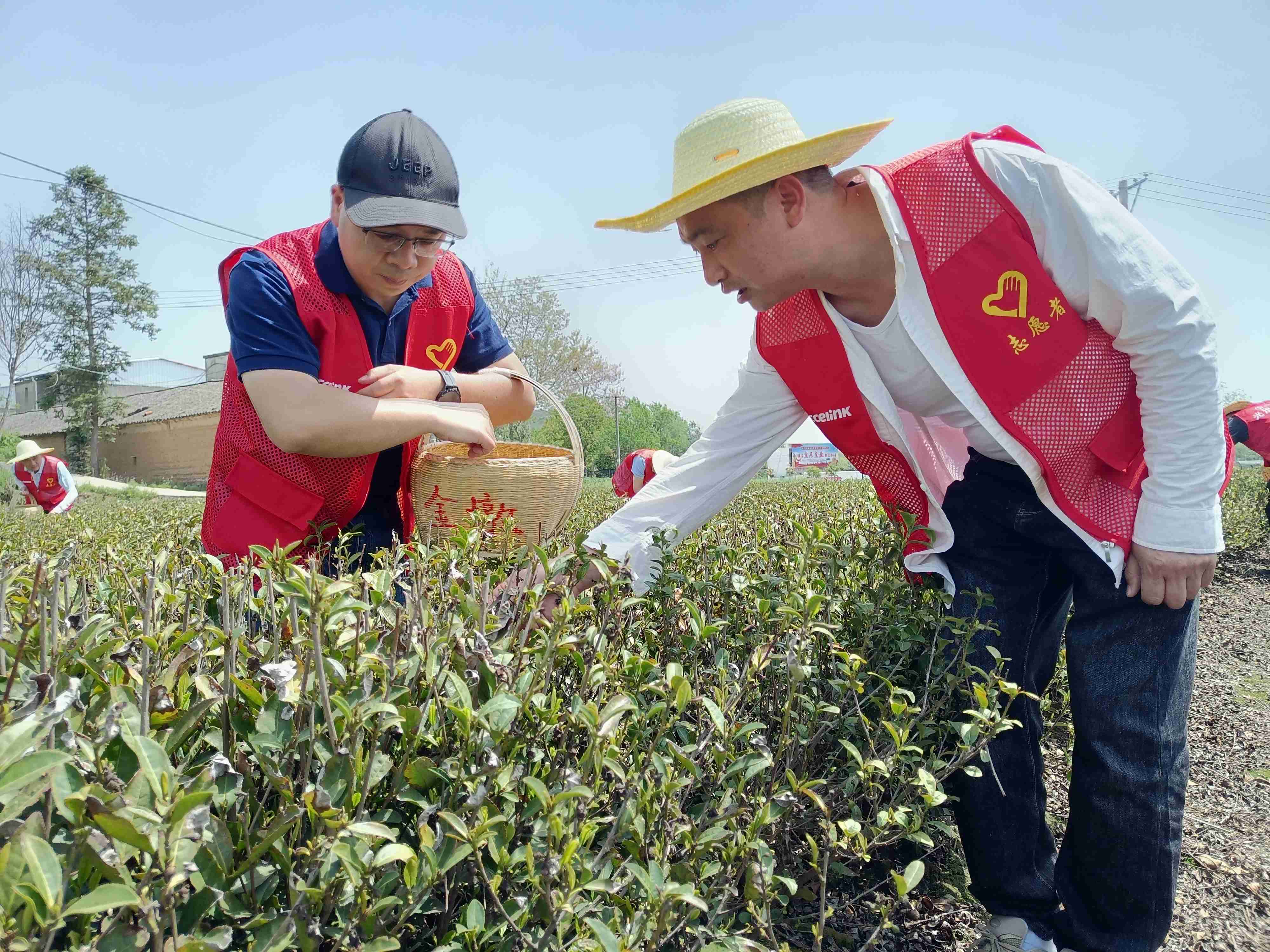 菠菜担保网 - 最权威的全网担保平台