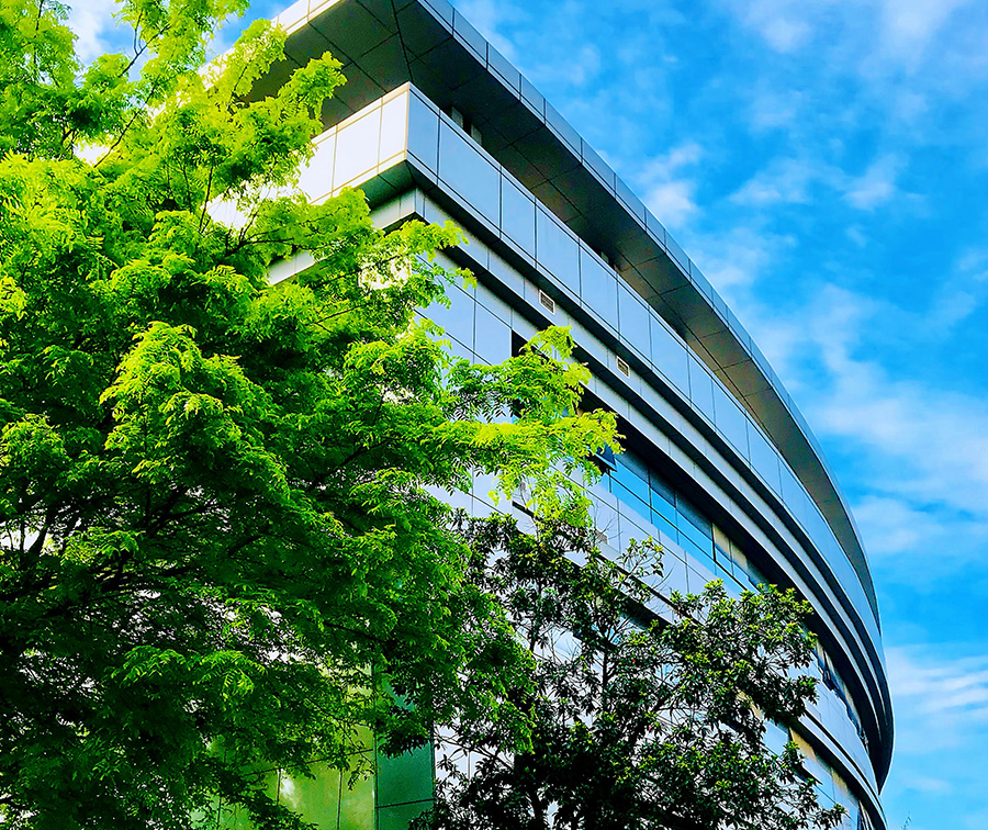 菠菜担保网 - 最权威的全网担保平台